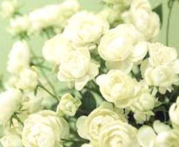 Вітаємо з Днем Ангела настоятеля Свято-Хрестовоздвиженського храму с. Великої П’ятигірки протоієрея Олександра Худякова! Вітаємо з Днем Ангела настоятеля Свято-Хрестовоздвиженського храму с. Великої П’ятигірки протоієрея Олександра Худякова!