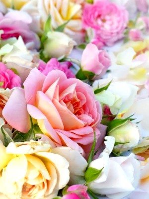 Вітаємо з 5-ю річницею прийняття чернечого постригу благочинного Бердичівського округу, настоятеля Свято-Миколаївського собору архімандрита Варфоломія (Бойкова)! Вітаємо з 5-ю річницею прийняття чернечого постригу благочинного Бердичівського округу, настоятеля Свято-Миколаївського собору архімандрита Варфоломія (Бойкова)!