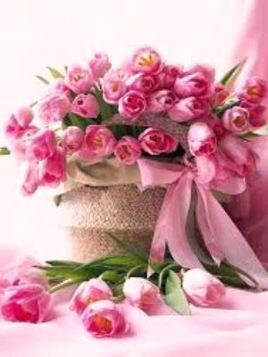 Вітаємо з Днем Ангела настоятеля Свято-Покровського храму с. Закутинці ієрея Сергія Гарнагу! Вітаємо з Днем Ангела настоятеля Свято-Покровського храму с. Закутинці ієрея Сергія Гарнагу!