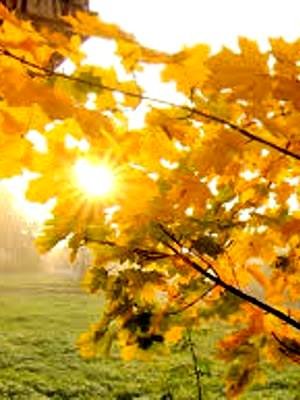 Творчість наших парафіян Творчість наших парафіян