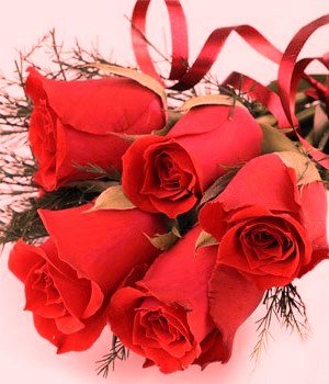 Вітаємо з Днем хіротонії духівника Бердичівського благочиння, настоятеля Свято-Димитрівського храму смт Гришківці протоієрея Миколая Шпичку! Вітаємо з Днем хіротонії духівника Бердичівського благочиння, настоятеля Свято-Димитрівського храму смт Гришківці протоієрея Миколая Шпичку!