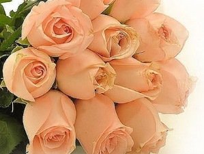 Вітаємо з Днем хіротонії настоятеля Свято-Успенського храму та храму на честь ікони Божої Матері «Цілителька» м. Бердичева протоієрея Романа Бойкова! Вітаємо з Днем хіротонії настоятеля Свято-Успенського храму та храму на честь ікони Божої Матері «Цілителька» м. Бердичева протоієрея Романа Бойкова!