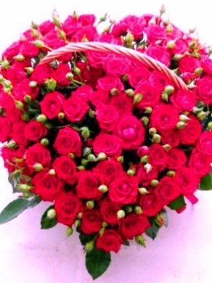 Квітневі вітання Квітневі вітання