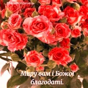 ³     -  .     !