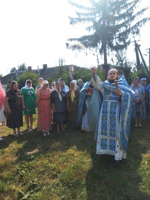     ,      , 养:   -  . 