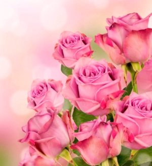 Вітаємо з днем народження благочинного Бердичівського округу, настоятеля Свято-Миколаївського собору архімандрита Варфоломія (Бойкова)! Вітаємо з днем народження благочинного Бердичівського округу, настоятеля Свято-Миколаївського собору архімандрита Варфоломія (Бойкова)!