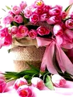 Вітаємо з Днем Ангела настоятеля Свято-Петропавлівського храму с. Рея протоієрея Євстафія Гавриліва! Вітаємо з Днем Ангела настоятеля Свято-Петропавлівського храму с. Рея протоієрея Євстафія Гавриліва!