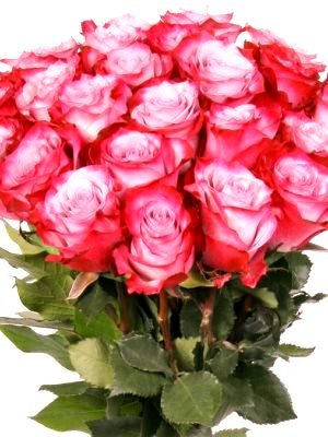 Вітаємо з Днем народження настоятеля храму Різдва Пресвятої Богородиці с. Швайківки протоієрея В’ячеслава Губенка! Вітаємо з Днем народження настоятеля храму Різдва Пресвятої Богородиці с. Швайківки протоієрея В’ячеслава Губенка!