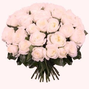 Вітаємо з Днем хіротонії настоятеля храму Різдва Пресвятої Богородиці с. Швайківки протоієрея В’ячеслава Губенка! Вітаємо з Днем хіротонії настоятеля храму Різдва Пресвятої Богородиці с. Швайківки протоієрея В’ячеслава Губенка!