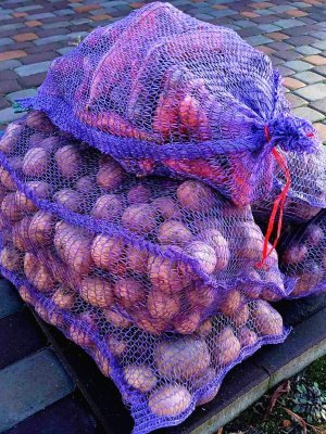 Підтримка шпиталю продуктами: парафіяни Свято-Петропавлівського храму с. Реї зібрали допомогу для поранених воїнів Підтримка шпиталю продуктами: парафіяни Свято-Петропавлівського храму с. Реї зібрали допомогу для поранених воїнів