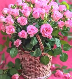 Вітаємо з 25-річчям хіротонії настоятеля Свято-Михайлівського храму села Хажина протоієрея Владислава Асафова! Вітаємо з 25-річчям хіротонії настоятеля Свято-Михайлівського храму села Хажина протоієрея Владислава Асафова!