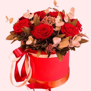 ³  35-   -   ǳ !