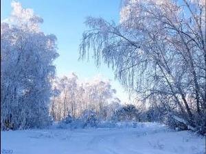 Творчість наших парафіян Творчість наших парафіян