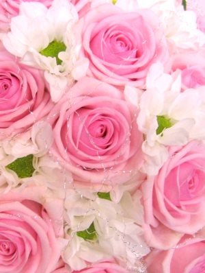 Вітаємо з Днем Ангела настоятеля Свято-Покровського храму с. Никонівки протоієрея Іоанна Попадича! Вітаємо з Днем Ангела настоятеля Свято-Покровського храму с. Никонівки протоієрея Іоанна Попадича!