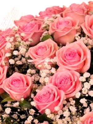 ³  5-     -  .   ³ !