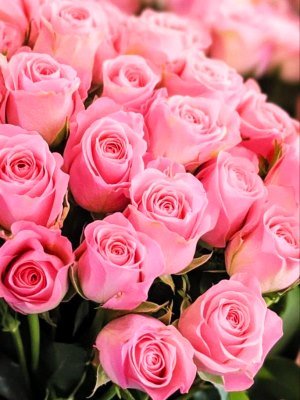 Вітаємо з днем народження настоятеля Свято-Покровського храму с. Закутинці ієрея Сергія Гарнагу! Вітаємо з днем народження настоятеля Свято-Покровського храму с. Закутинці ієрея Сергія Гарнагу!