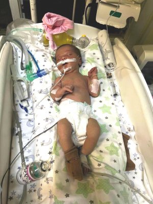 ѳ'                ()