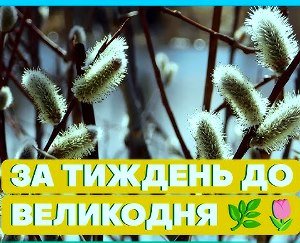 До уваги парафіян: у Вербну неділю запрошуємо всіх на благодійний ярмарок на підтримку ЗСУ До уваги парафіян: у Вербну неділю запрошуємо всіх на благодійний ярмарок на підтримку ЗСУ