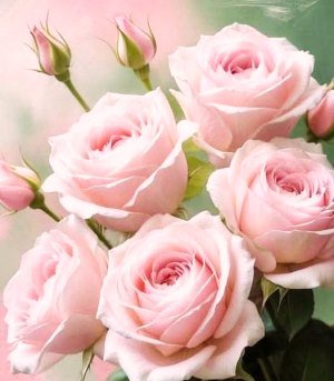 Вітаємо з Днем хіротонії настоятеля храму Різдва Пресвятої Богородиці с. Озадівки протоієрея Ярослава Ігнатюка! Вітаємо з Днем хіротонії настоятеля храму Різдва Пресвятої Богородиці с. Озадівки протоієрея Ярослава Ігнатюка!