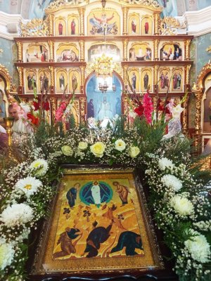  :   ,  ,        -  . 