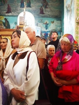  :   ,  ,        -  . 