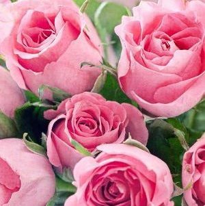 Вітаємо з Днем Ангела настоятеля Свято-Покровського храму с. Закутинці ієрея Сергія Гарнагу! Вітаємо з Днем Ангела настоятеля Свято-Покровського храму с. Закутинці ієрея Сергія Гарнагу!