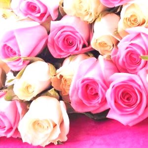 Вітаємо з Днем Ангела настоятеля Свято-Петропавлівського храму с. Рея протоієрея В’ячеслава Губенка! Вітаємо з Днем Ангела настоятеля Свято-Петропавлівського храму с. Рея протоієрея В’ячеслава Губенка!