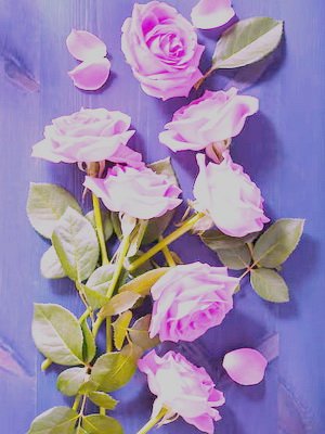 ³     -  .    !