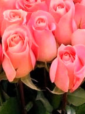 Вітаємо з днем народження настоятеля Свято-Троїцького храму м. Бердичева протоієрея Михаїла Гоюка! Вітаємо з днем народження настоятеля Свято-Троїцького храму м. Бердичева протоієрея Михаїла Гоюка!